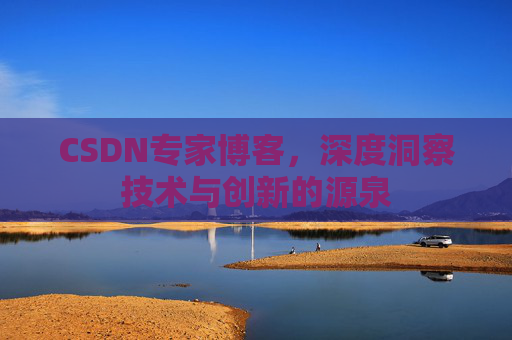 CSDN专家博客，深度洞察技术与创新的源泉